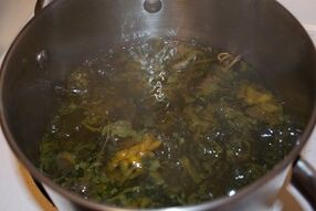 treatment of varicose veins with decoction